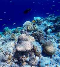 Discovering the Beauty of Velavaru Island in the Maldives
