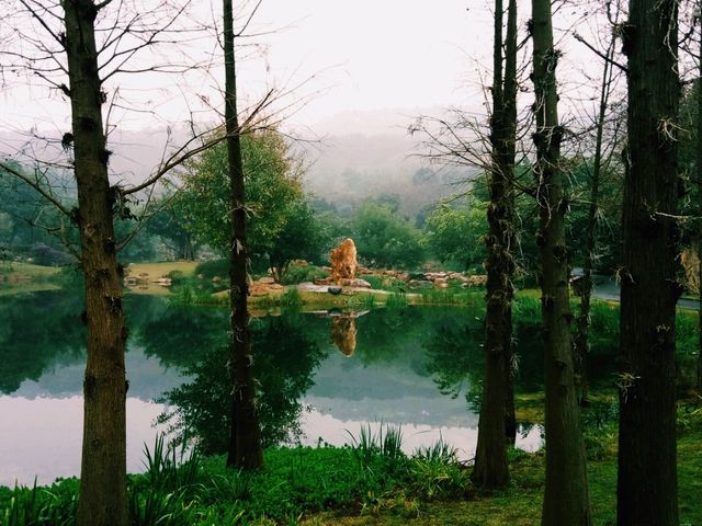 QingXiu Mountain of NanNing: Charming Fairy Tale Realm