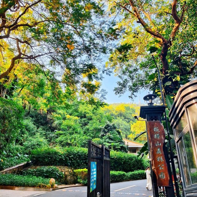 珠海板樟山：1999級臺階的歷史見證