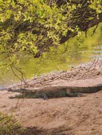 斯里蘭卡9日遊免簽出行 話咁快就走得