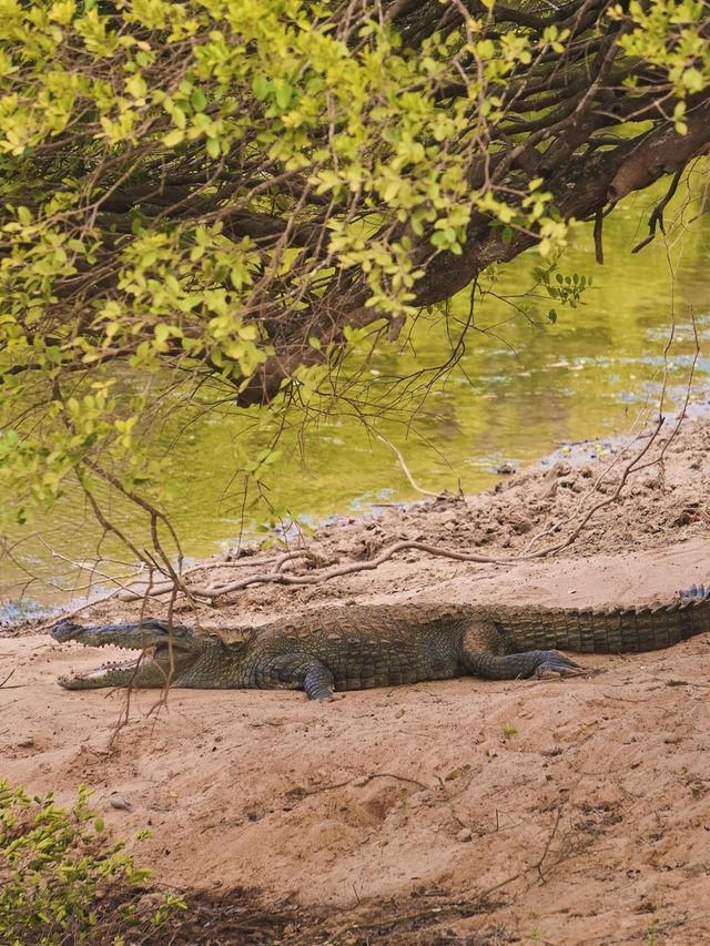 斯里蘭卡9日遊免簽出行 話咁快就走得