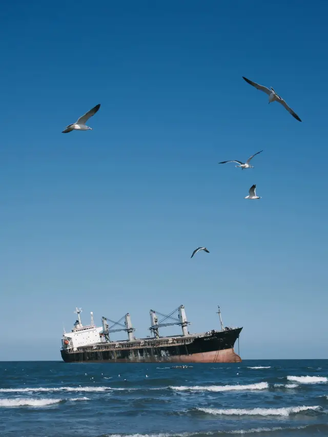 5-Day Qingdao-Weihai-Yantai Hot Spring Tour: Enjoy Every Moment