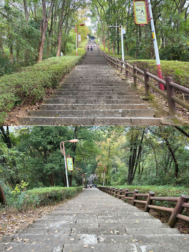 南平九峰山公園｜玩全攻略