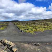 西班牙𝗟𝗮𝗻𝘇𝗮𝗿𝗼𝘁𝗲火山都有葡萄園