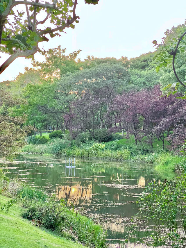 魔都免費遛娃 新開的無動力樂園太好玩