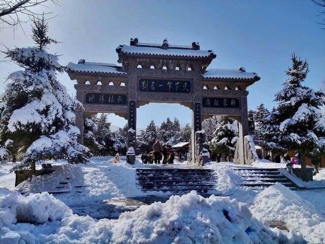 Shaolin Temple in Winter: A Snowy Wonderland ❄️🏯