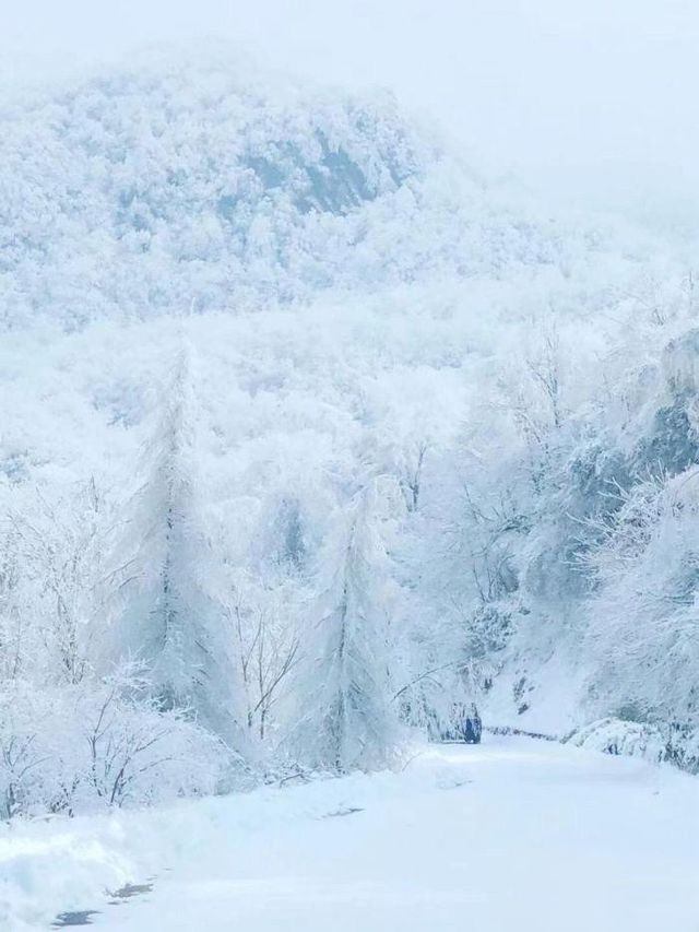 光霧山必打卡清單，帶你嗨玩不迷路