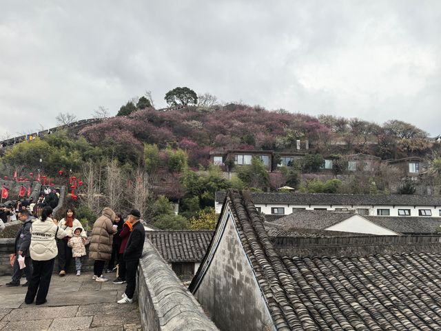 台州府城漫遊日記