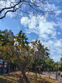 四海公園