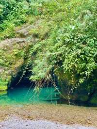 峨眉山-樂山大佛3日遊 博物館探秘歷史的印跡