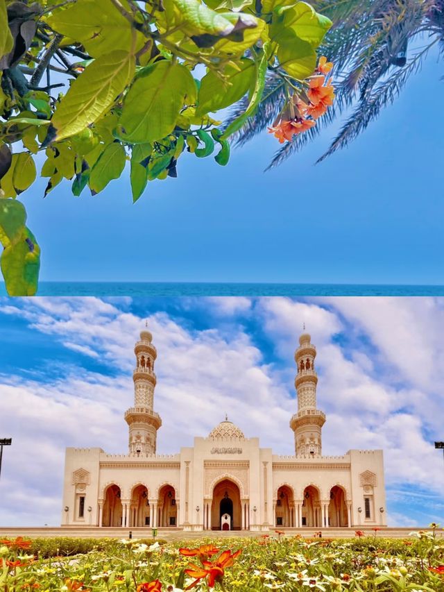 塞拉萊Salalah ——一定要再來一次