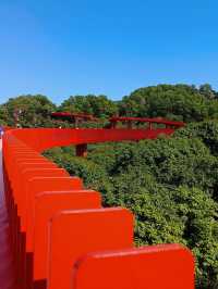 #深圳市虹橋公園之美