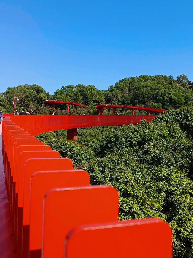 #深圳市虹橋公園之美