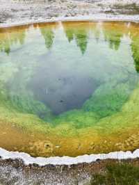 4日探秘美國 深入森林盡享天然氧吧