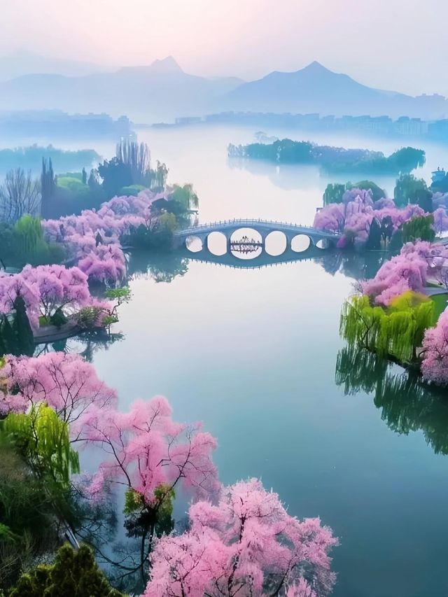 恰逢人間江南春