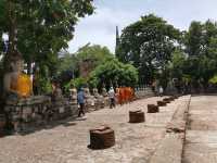 大城一日遊（寺廟遺址騎大象樹抱佛山竹）。