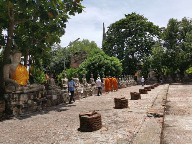 大城一日遊（寺廟遺址騎大象樹抱佛山竹）。