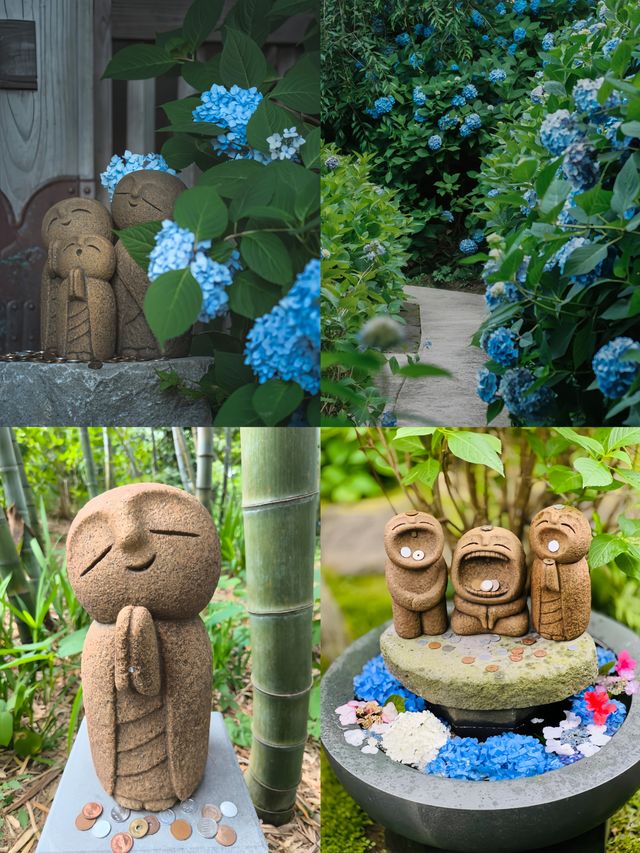 誤入童話！日本秋田雲昌寺的繡球花海仙境