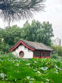 北京大觀園｜遊園驚夢，夢紅樓