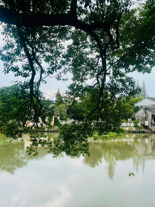 浙江普陀山等地｜2天深度遊 超詳細攻略必收藏