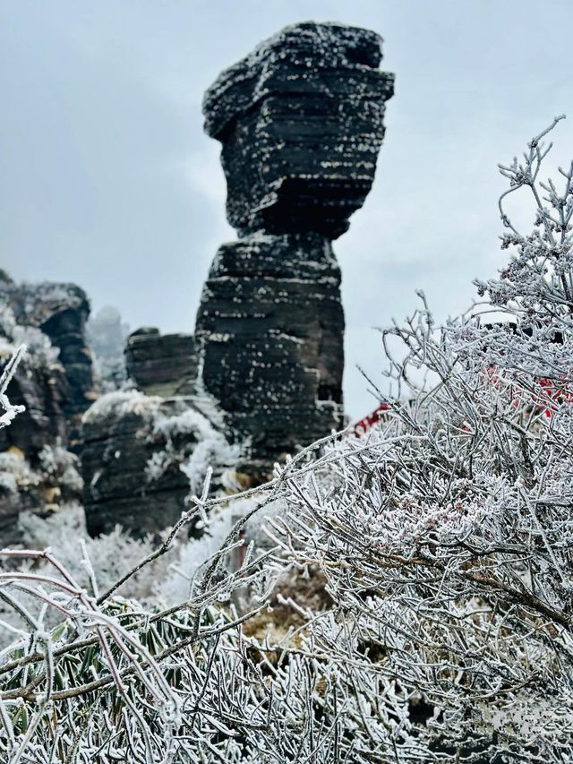 天空之城—梵淨山（附遊玩攻略）||