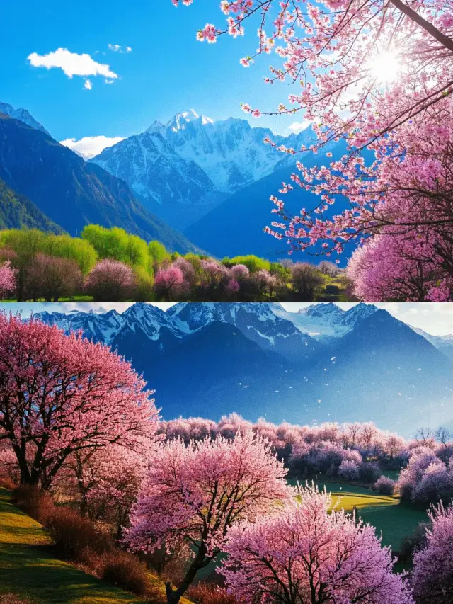 You must visit Tibet at least once in your life. The wind is cool and the scenery is beautiful!