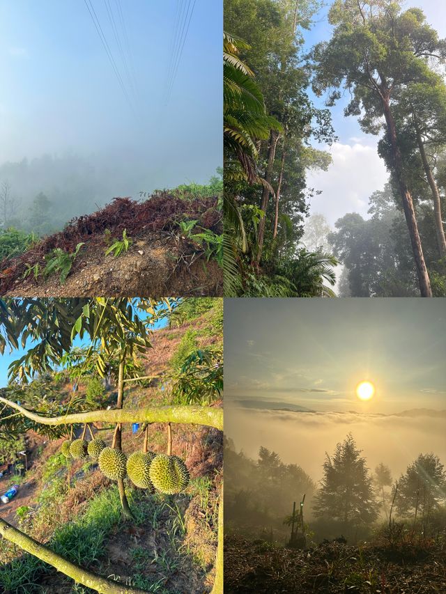 探秘文東：隱匿喺馬來西亞嘅小眾天堂