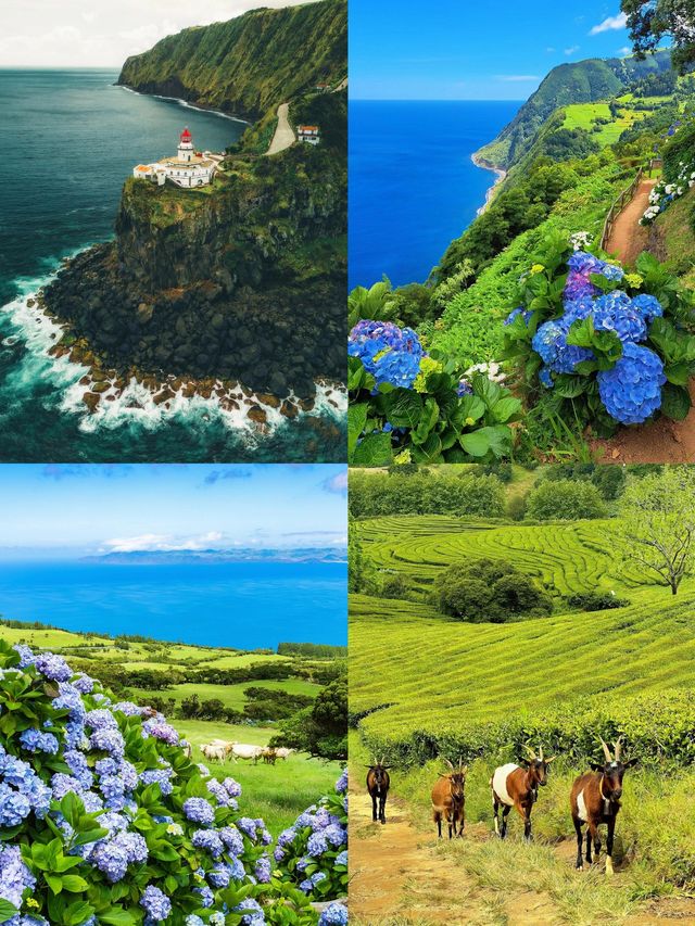 大西洋上的遺世奇島：聖米格爾