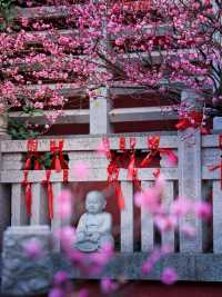 南京｜毗盧寺千年古梅，禪意氛圍封神了