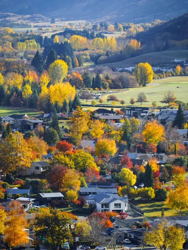 Australia &amp; New Zealand Winter Break Trip: 15 Days of Wonders