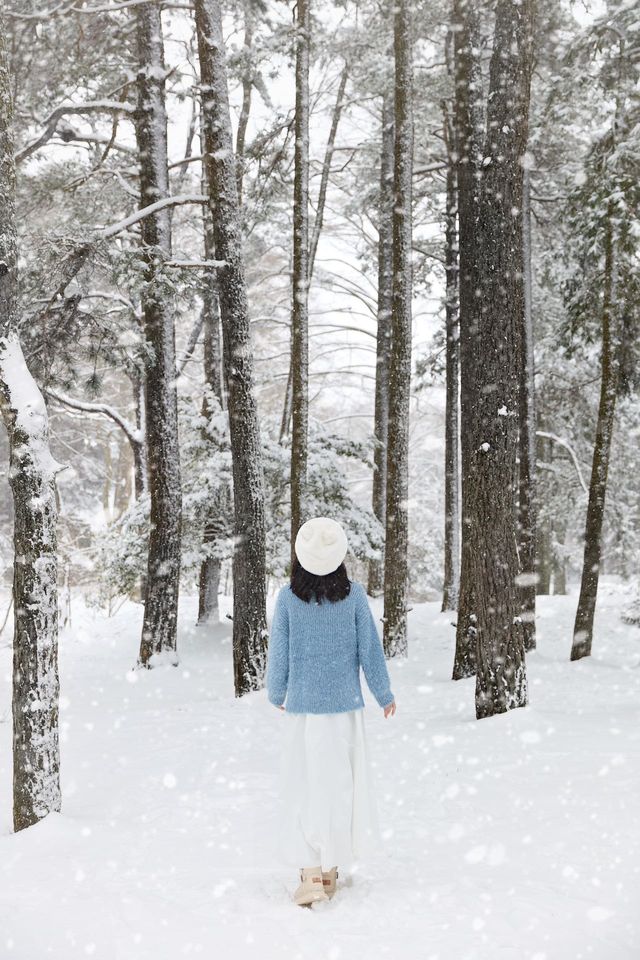 這不是北海道，是下雪的廬山呀