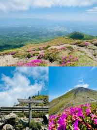 日本霧島市
