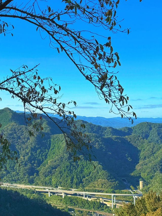 登山賞景，盡享自然之美！
