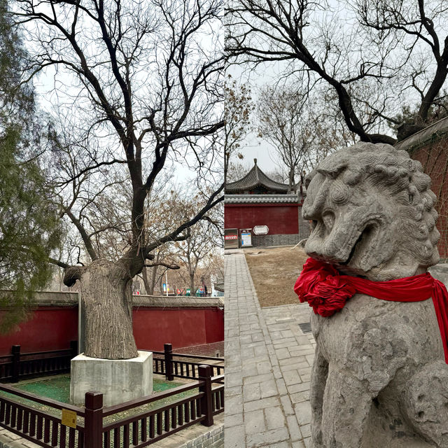 天寧寺塔：梁思成曾親自來考察