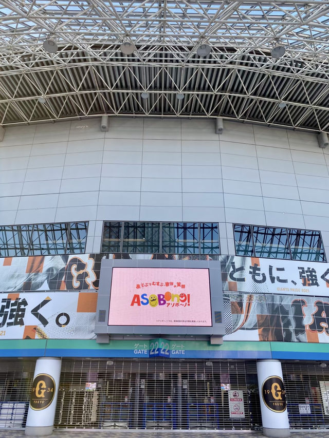 時光的綠意與寧靜