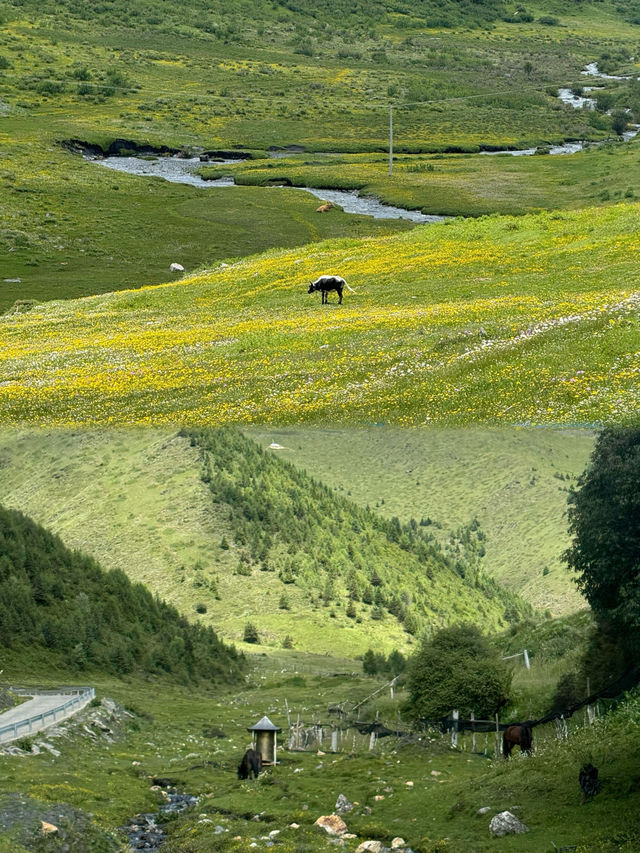 川藏自駕遊路線最強旅遊攻略來啦