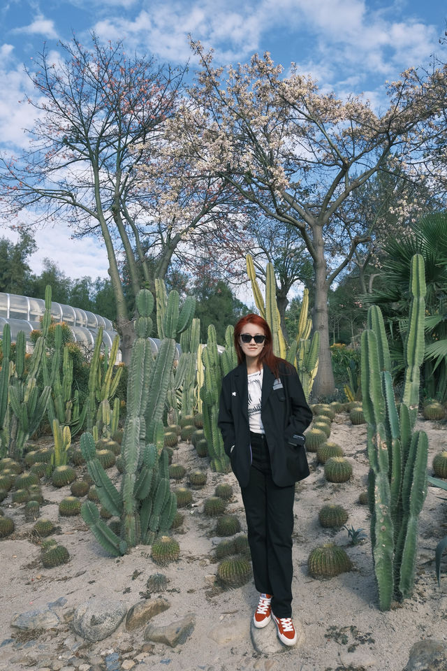 廈門必去 植物園 四季都有不同的美