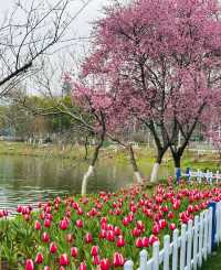 中山植物園