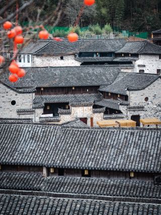 금화로 돌아온 지 1시간 만에 공개하는 판안 산속 숨겨진 마을 몰린