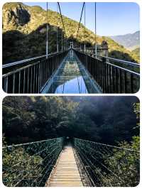 衢州藥王山千年藥香裡的仙俠養生之地來吧