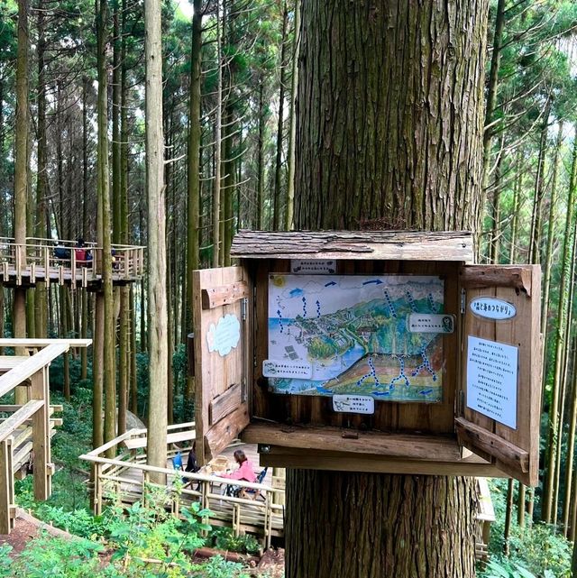 🇯🇵｜福岡❶小眾秘境㊙️隱藏在深山裡的森林☕️