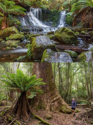 Tasmania | I Found a Heart-Shaped Island at the End of the World