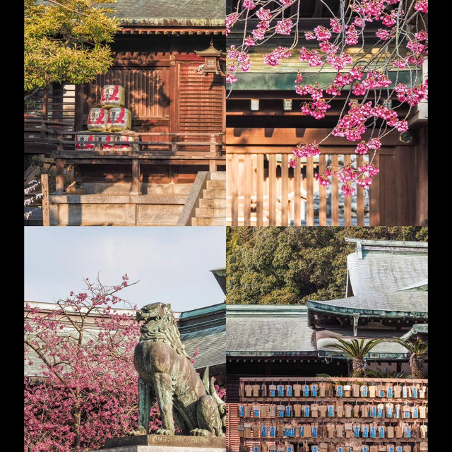 日本｜福岡周邊「光之道」追光攻略，錯過等半年