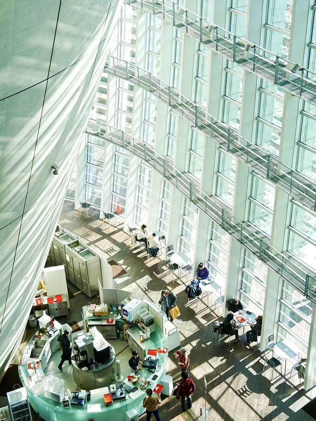 藝術的無聲交響：國立新美術館之旅