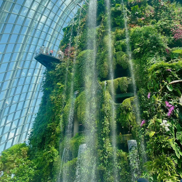 新加坡行程攻略，沈浸式體驗森林城市