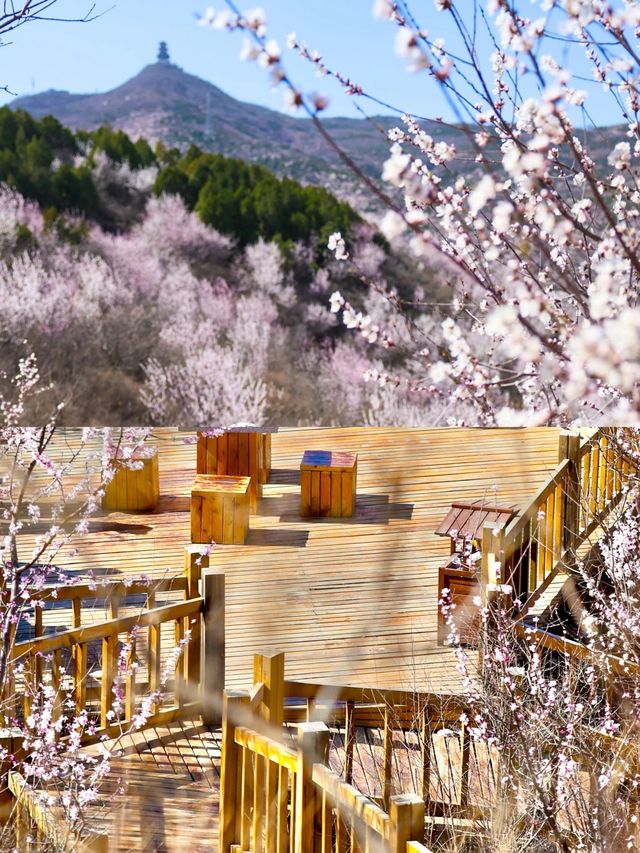 北京超美小眾登山步道，衝鴨