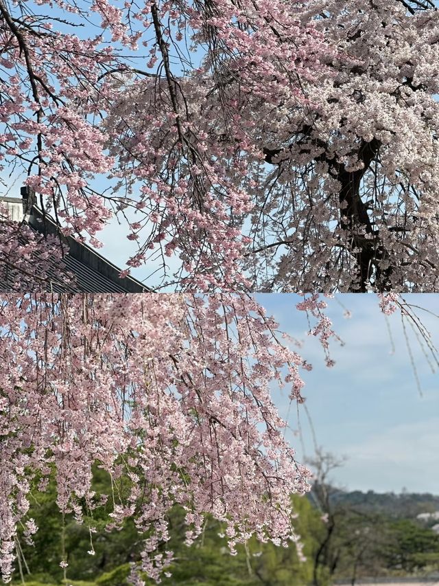 4月份出遊可以去的五個國家推薦
