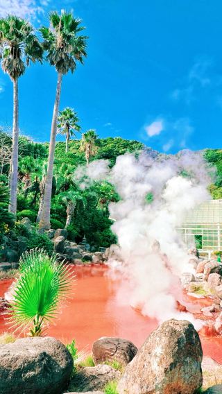 Stop focusing only on Kyoto and Nara! This "niche paradise" in Oita is incredibly beautiful.