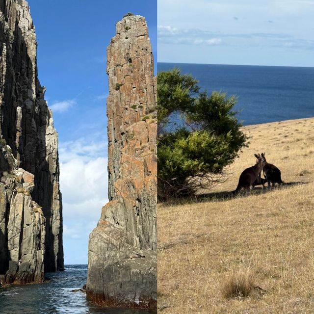 澳洲阿米代爾旅遊攻略：