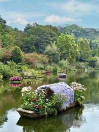 綠影婆娑：仙湖植物園的靜謐之旅